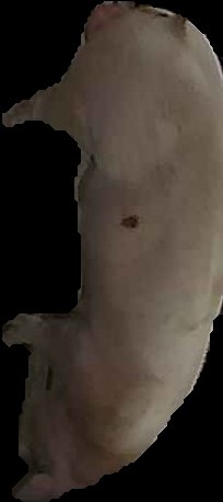 Crop