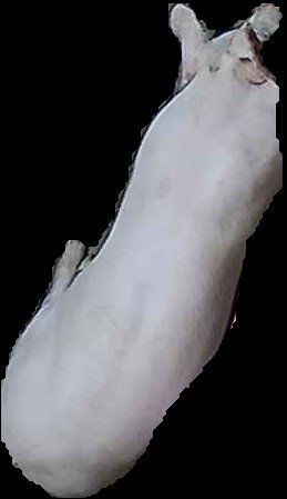 Crop