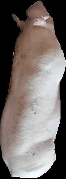 Crop