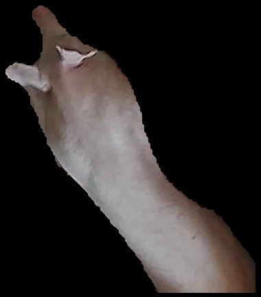 Crop