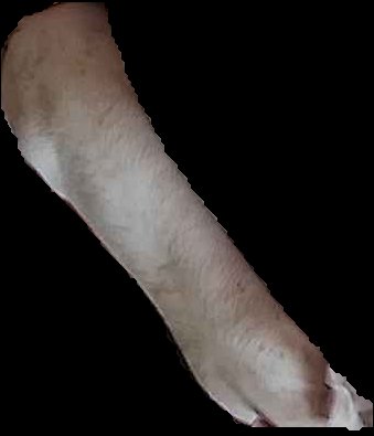 Crop