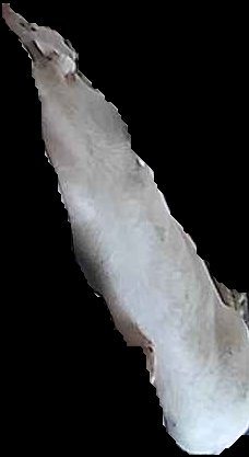 Crop