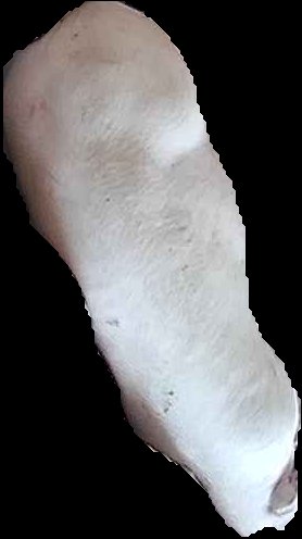 Crop