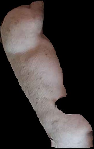 Crop