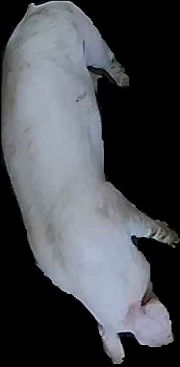 Crop