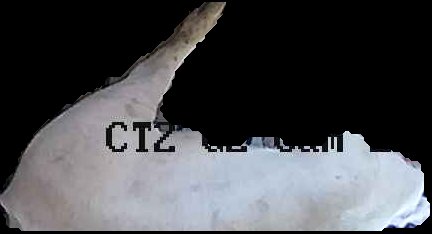 Crop