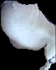Crop