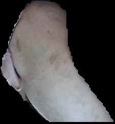 Crop