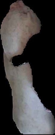 Crop