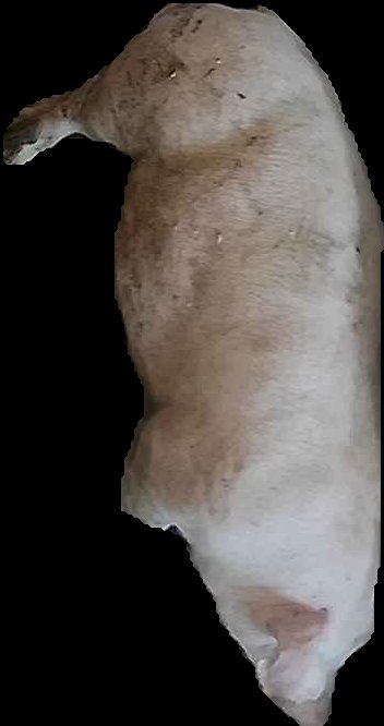 Crop