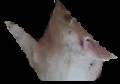 Crop