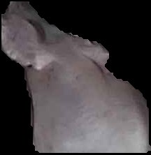 Crop
