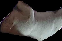 Crop