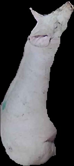 Crop