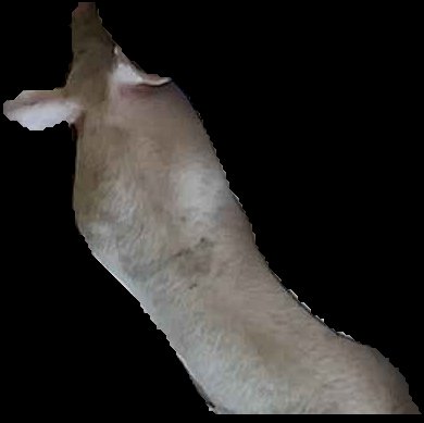 Crop