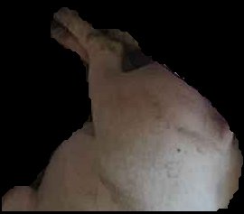 Crop