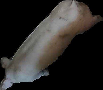 Crop