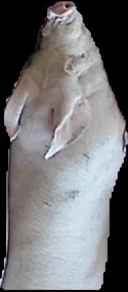 Crop