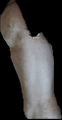 Crop
