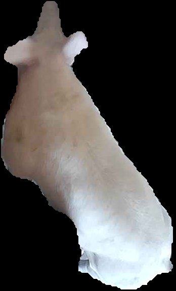 Crop