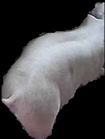 Crop