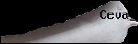Crop