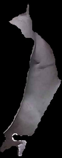 Crop