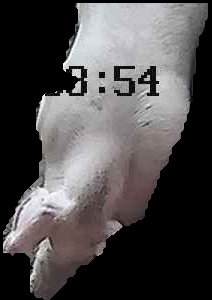 Crop