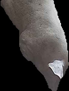 Crop