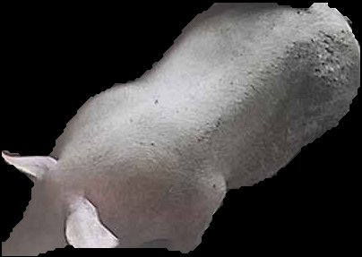 Crop