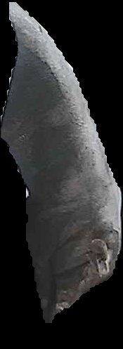Crop