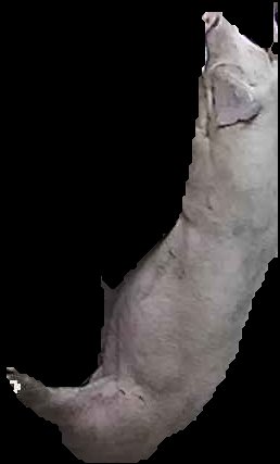 Crop