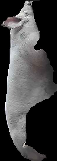 Crop