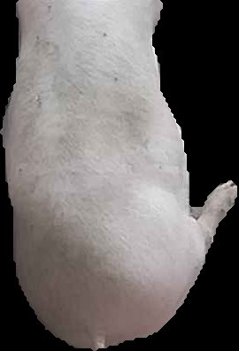 Crop