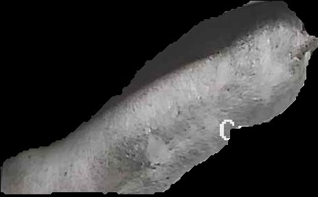 Crop