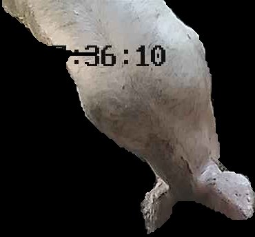 Crop