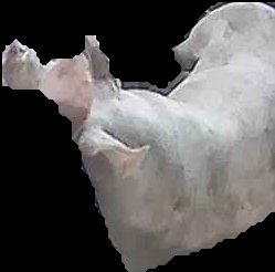 Crop