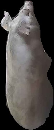 Crop