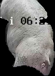 Crop