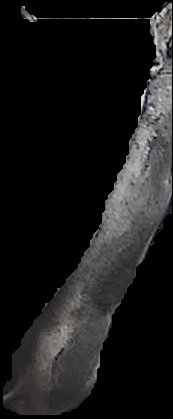 Crop