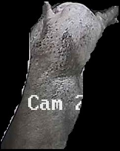 Crop