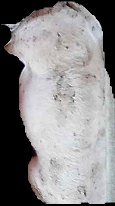 Crop