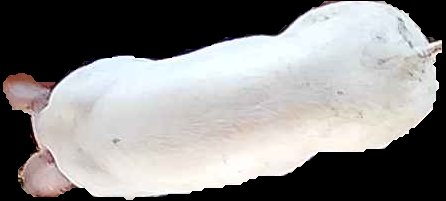 Crop