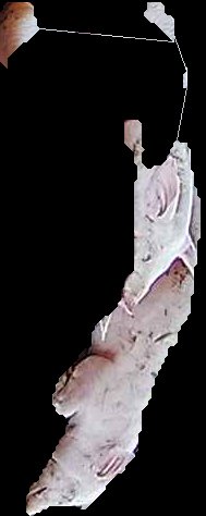 Crop