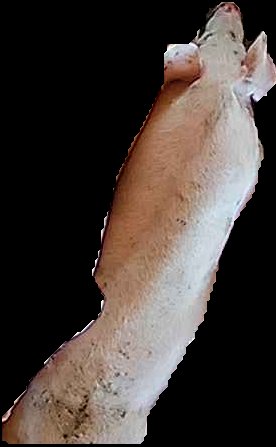 Crop