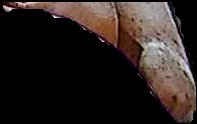 Crop