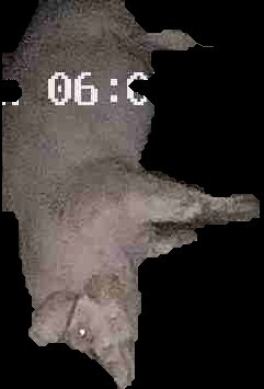 Crop