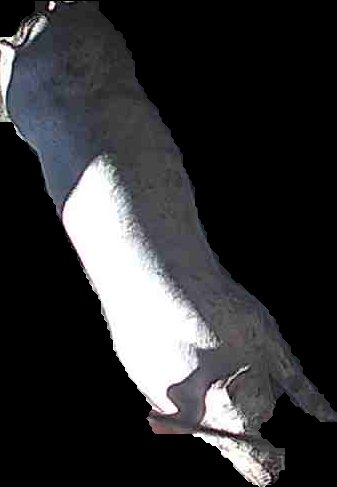 Crop