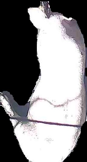 Crop