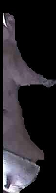 Crop